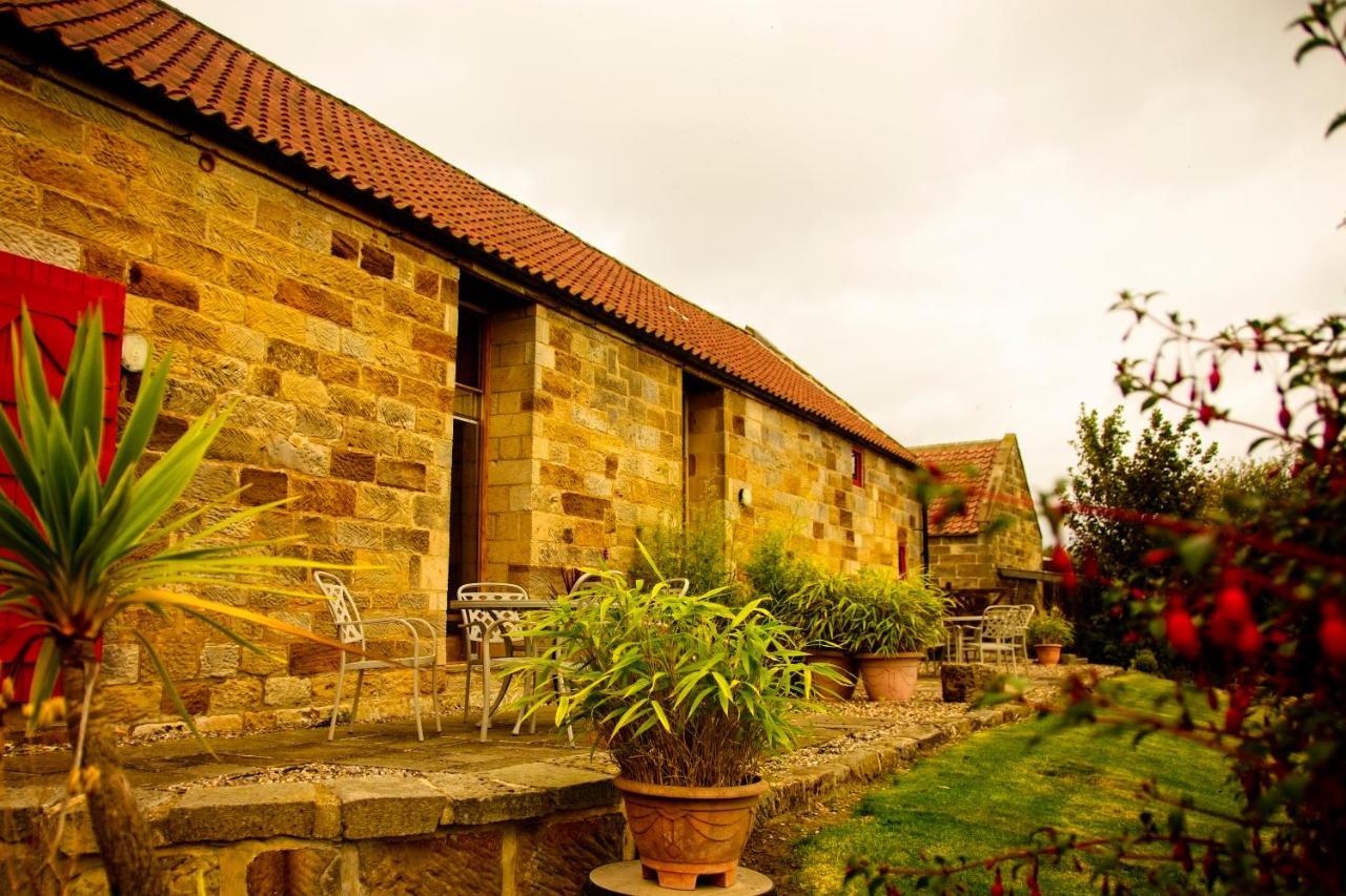 Spangle Cottage, Borrowby Farm Cottages Staithes Exterior foto